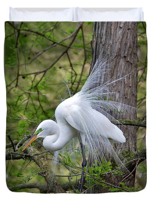 Egret Duvet Cover featuring the photograph My Beautiful Plumage by Kathy Baccari