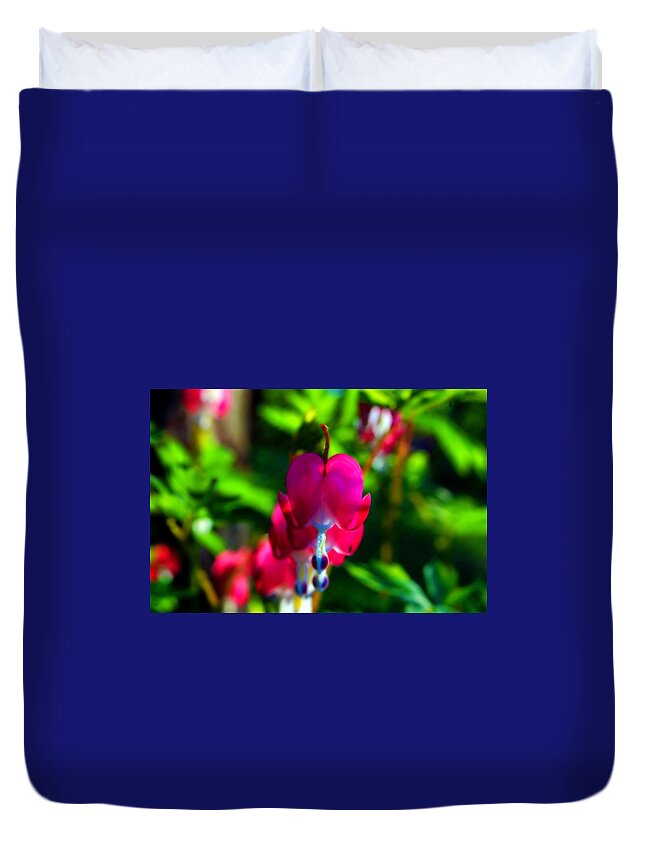 Macro Duvet Cover featuring the photograph My Bleeding Heart by Peggy Franz