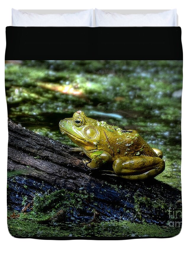 Frog Duvet Cover featuring the photograph My Handsome Prince by Kathy Baccari