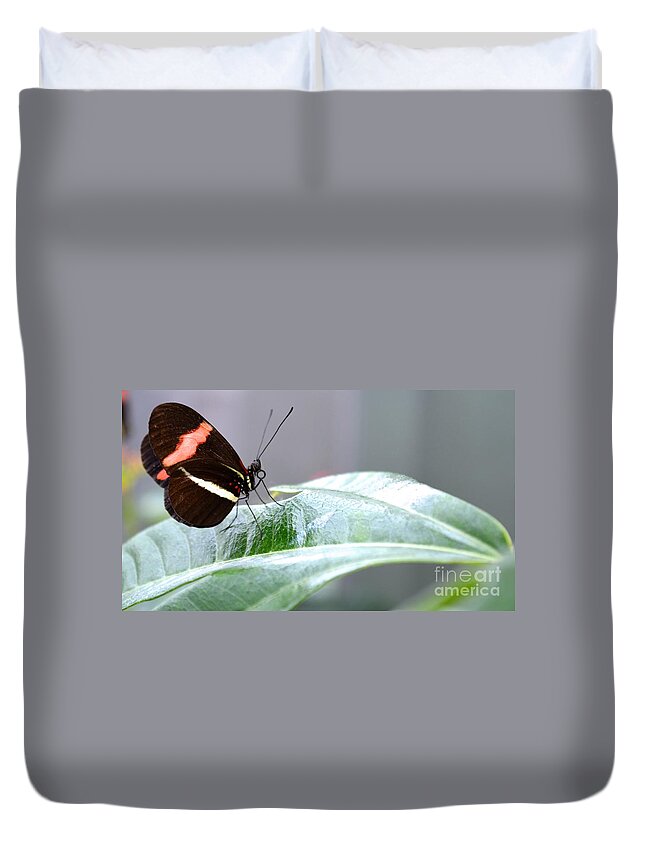 Butterfly Duvet Cover featuring the photograph My Pretty Butterfly by Carla Carson
