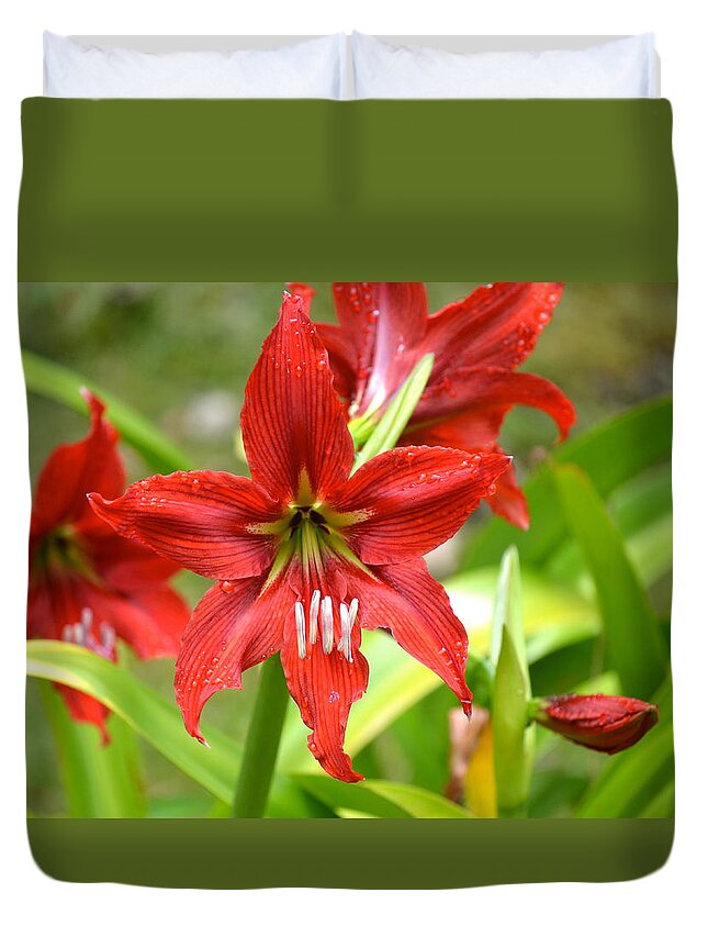 Flower Duvet Cover featuring the photograph My Red Daylily...after the rain by Lehua Pekelo-Stearns