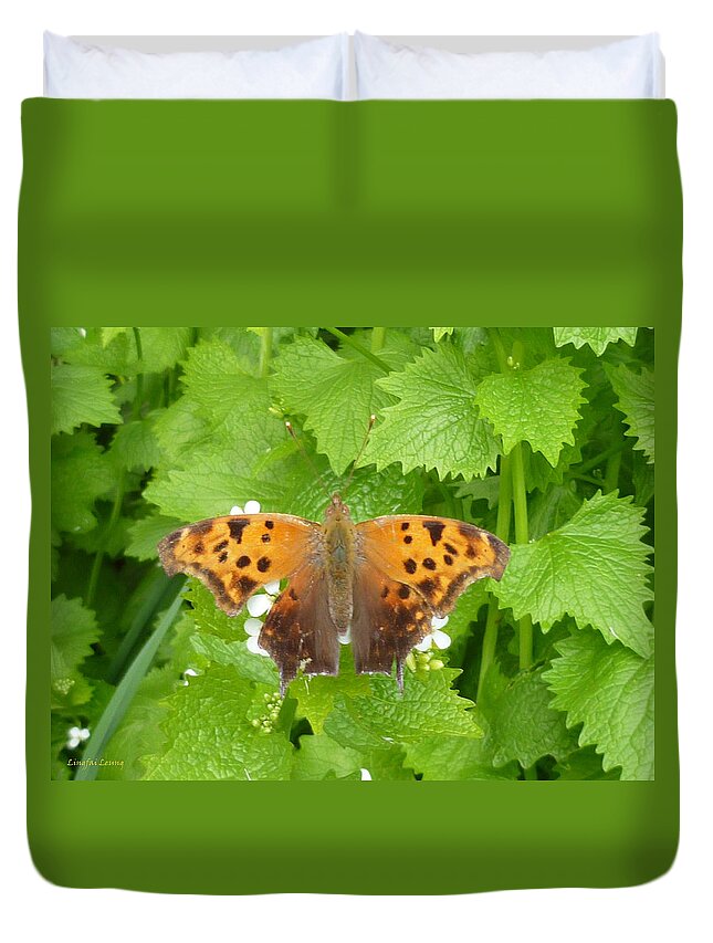 Question Mark Butterfly Duvet Cover featuring the photograph Mystique by Lingfai Leung