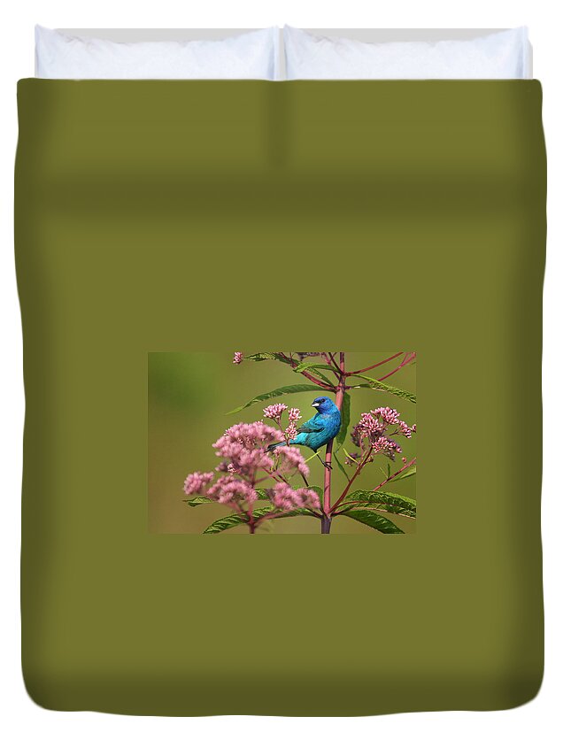 Indigo Bunting Duvet Cover featuring the photograph Natural Beauty by Rob Blair