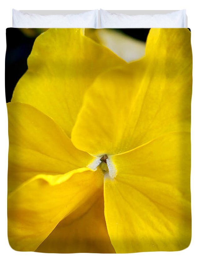 Flower Duvet Cover featuring the photograph Nature's light by Milena Ilieva