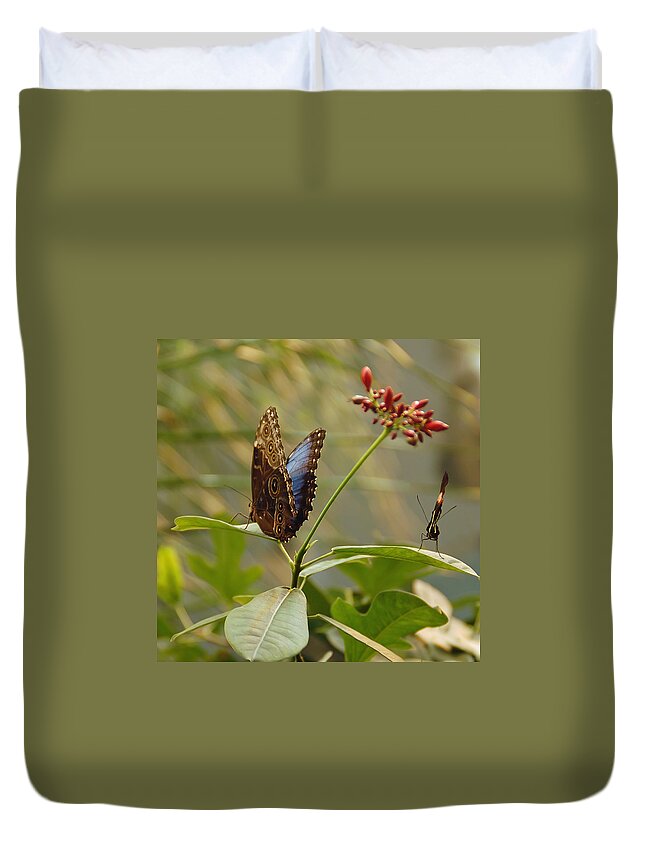 Butterfly Duvet Cover featuring the photograph Butterflies on Leaves by Aimee L Maher ALM GALLERY
