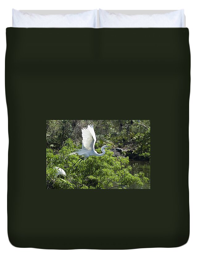 Great White Egrets Duvet Cover featuring the photograph Need More Branches by Carolyn Marshall