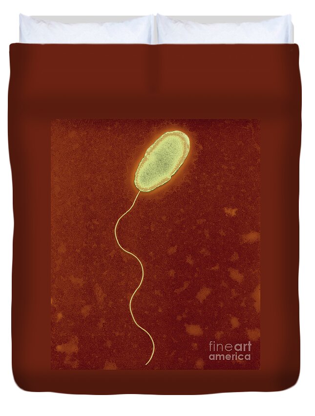 Aerobic Duvet Cover featuring the photograph Negatively Stained Pseudomonas by Kwangshin Kim
