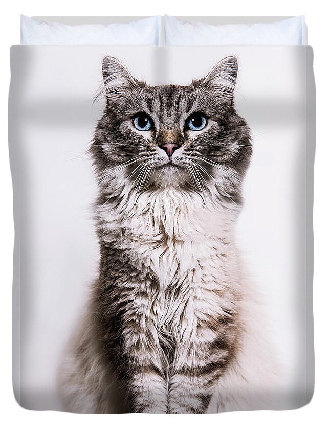 Pets Duvet Cover featuring the photograph Neva Masquerade Cat In The Studio by Kevin Vandenberghe