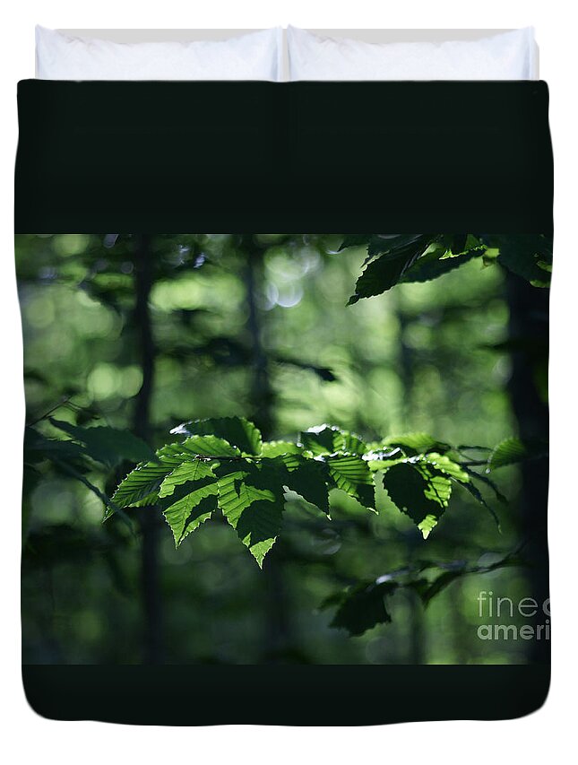 Woods Duvet Cover featuring the photograph Never Far From My Thoughts by Linda Shafer
