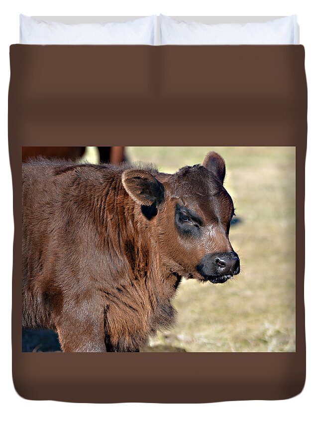 Animals Duvet Cover featuring the photograph New Calf by Linda Cox