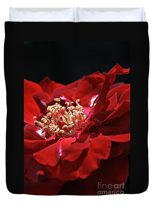 Rose Duvet Cover featuring the photograph New Dream by Joy Watson