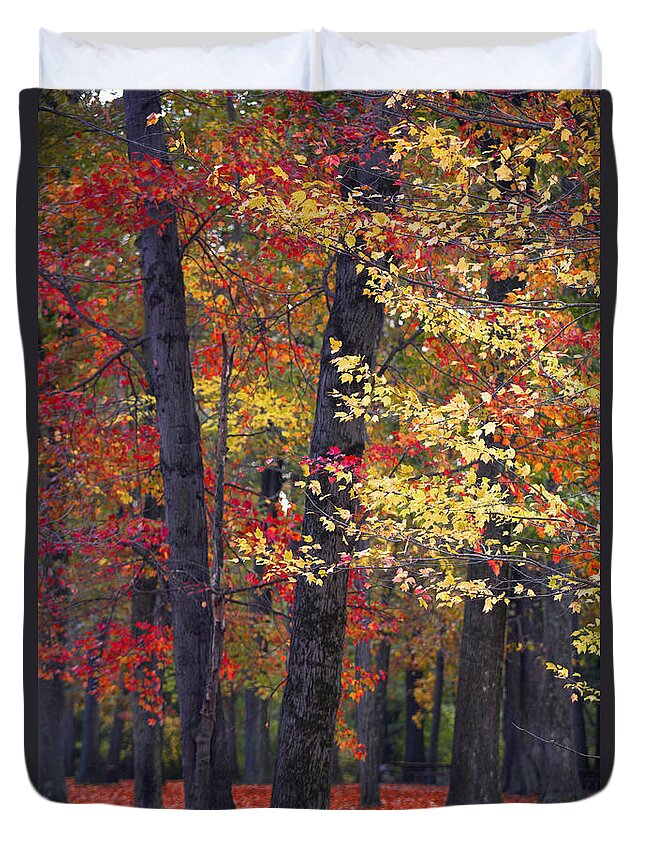 Woods Duvet Cover featuring the photograph New Jersey's Reds by Marco Crupi