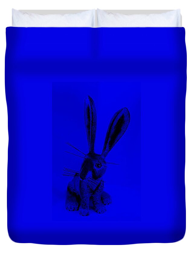 Rabbit Duvet Cover featuring the photograph New Mexico Rabbit Blue by Rob Hans