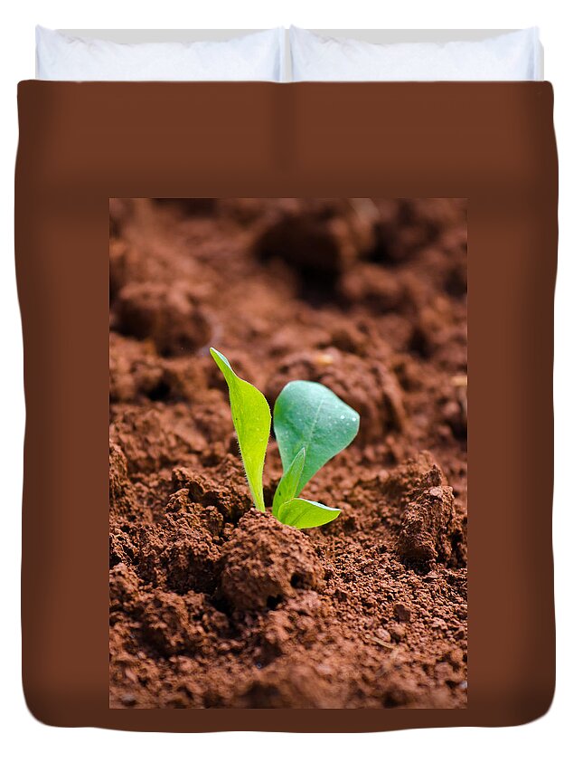 Plant Duvet Cover featuring the photograph Newborn Plant On Red Acre by Andreas Berthold