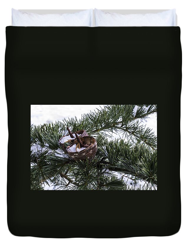 Fir Duvet Cover featuring the photograph Nibbled by Spikey Mouse Photography