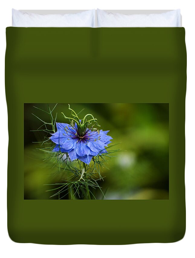 Flower Duvet Cover featuring the photograph Nigella Damascena by Rob Hemphill