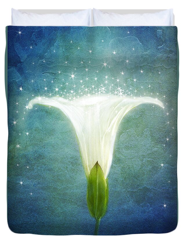 Morning Glory Flower Duvet Cover featuring the photograph Night Glory by Marina Kojukhova