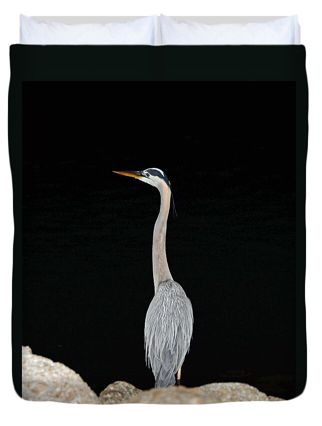Blue Heron Duvet Cover featuring the photograph Night of the Blue Heron 3 by Anthony Baatz
