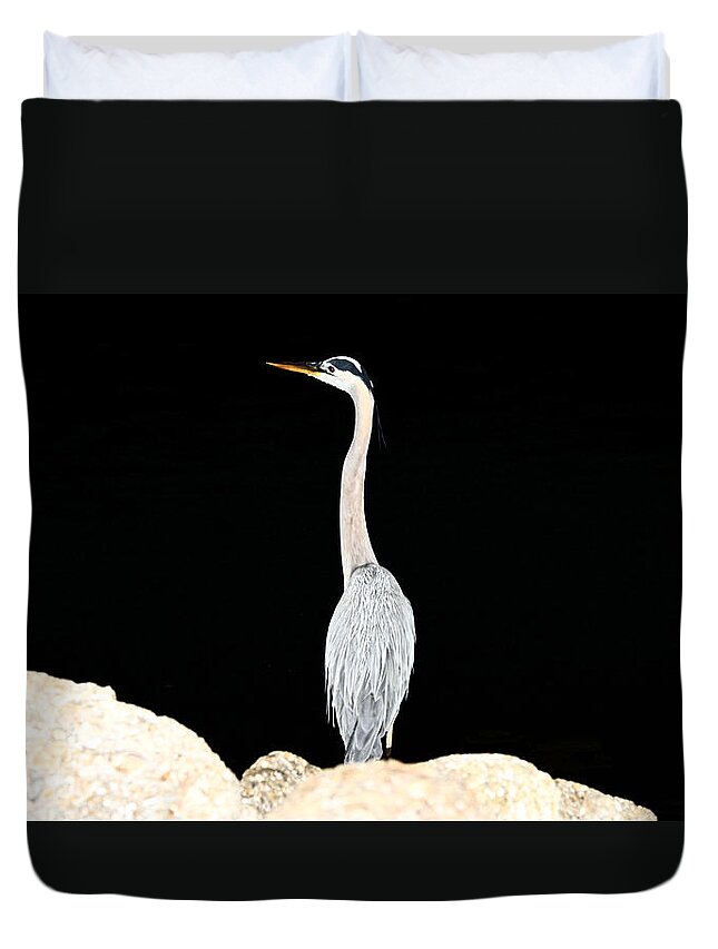 Blue Heron Duvet Cover featuring the photograph Night of the Blue Heron by Anthony Baatz