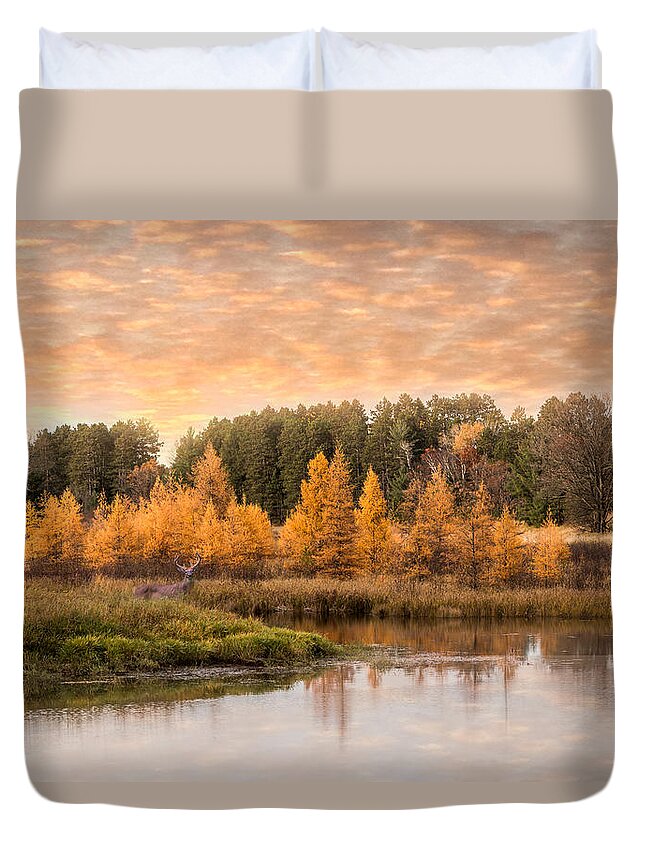Deer Duvet Cover featuring the photograph Tamarack Buck by Patti Deters
