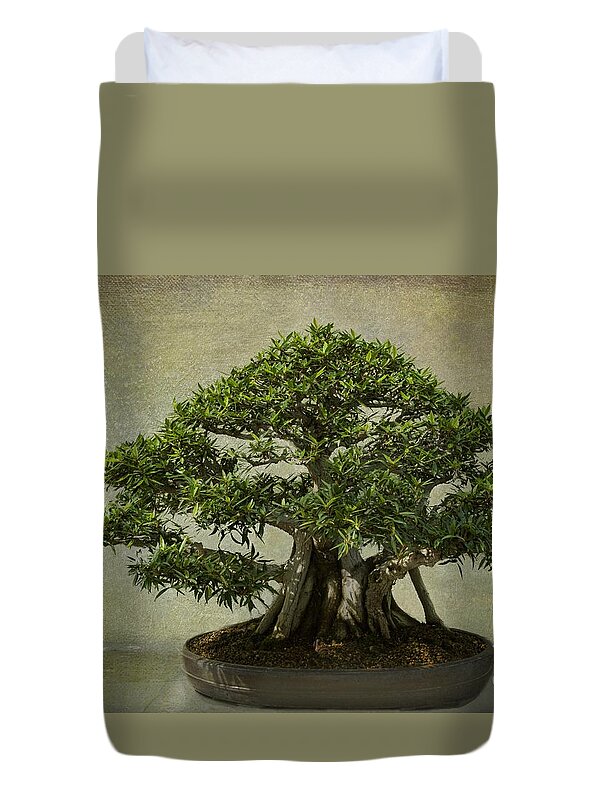 Bonsai Duvet Cover featuring the photograph Noble Stand by Marilyn Cornwell