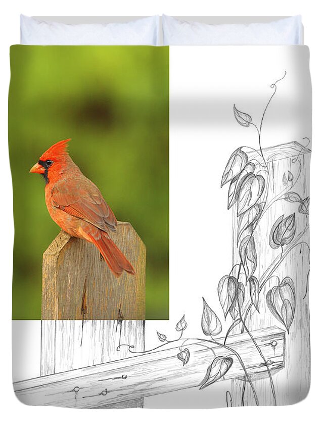 Northern Cardinal Duvet Cover featuring the photograph Northern Cardinal by Andrew McInnes