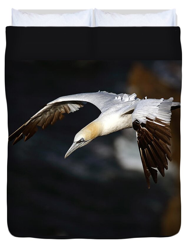 Sea Bird Duvet Cover featuring the photograph Northern Gannet by Grant Glendinning