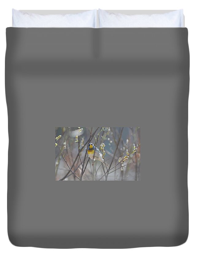 Northern Parula Duvet Cover featuring the photograph Northern Parula by James Petersen