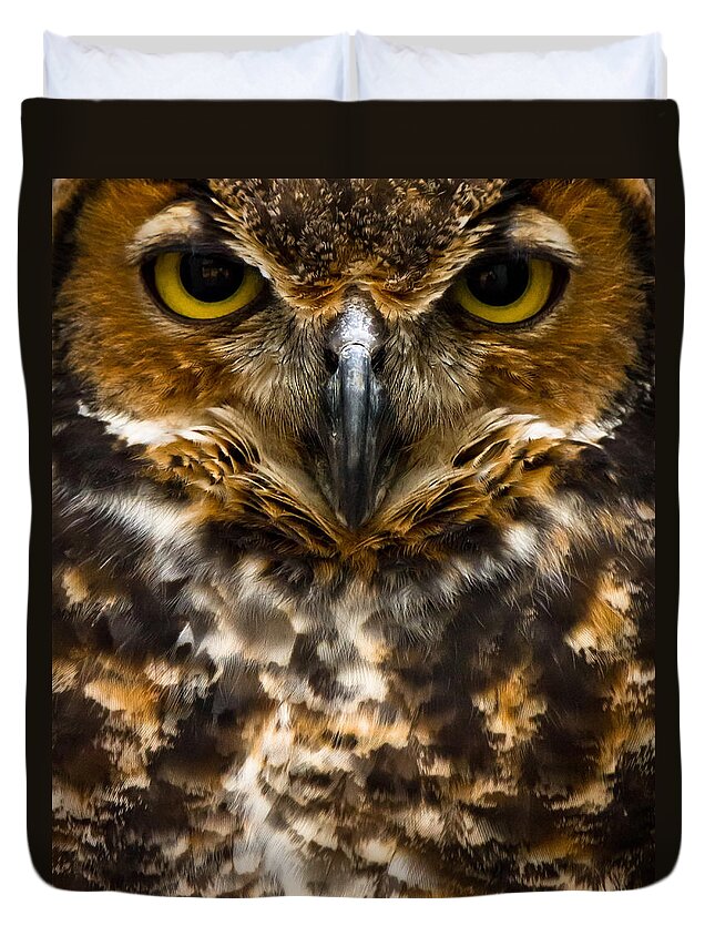 Owl Duvet Cover featuring the photograph Not Mad At All by Robert L Jackson