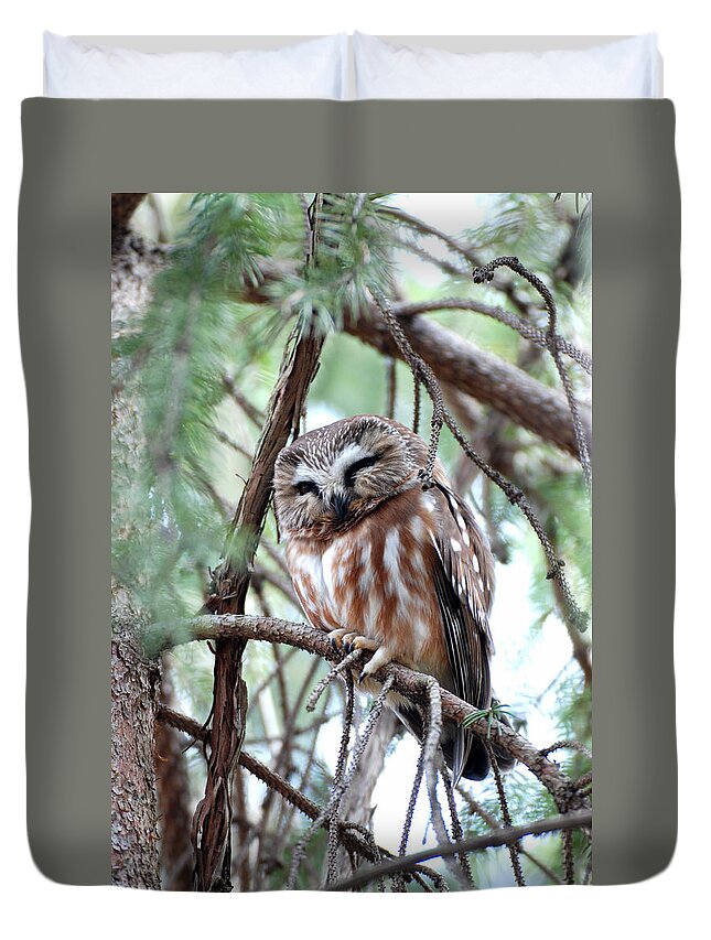 Northern Saw-whet Owl Duvet Cover featuring the photograph Northern Saw-Whet Owl 2 by Tracy Winter