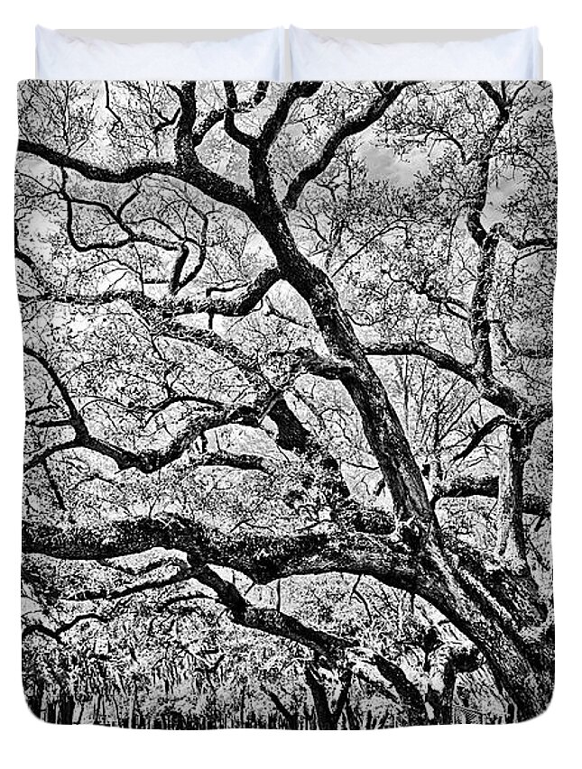 Trees Duvet Cover featuring the photograph Oak Trees by Chauncy Holmes