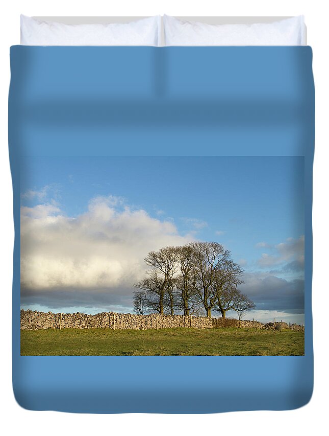 Scenics Duvet Cover featuring the photograph Oak Trees In Winter by Dr T J Martin