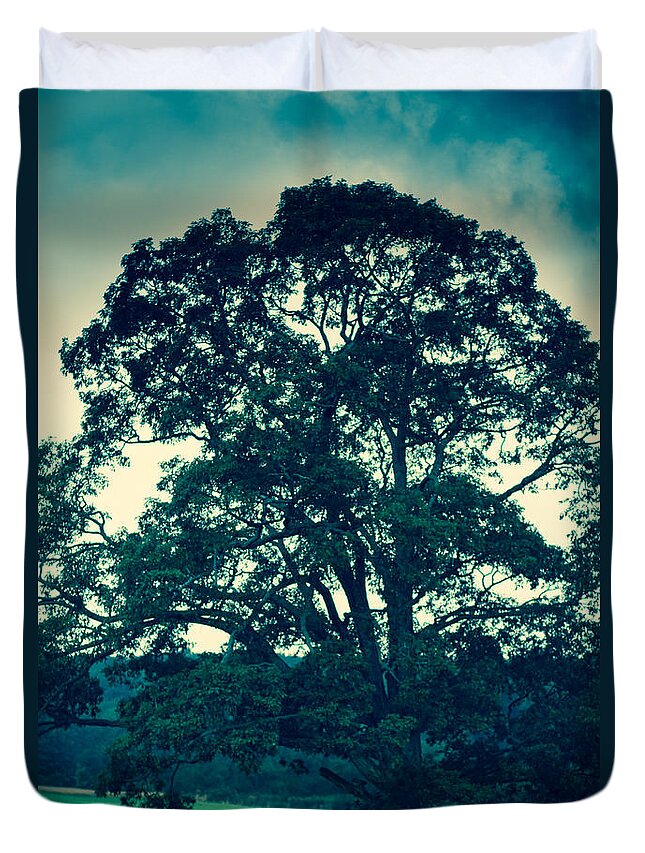 Tree Duvet Cover featuring the photograph Oakland Tree by Shane Holsclaw