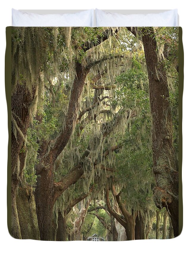 Avenue Of The Oaks Duvet Cover featuring the photograph Oaks Of Georgia by Adam Jewell