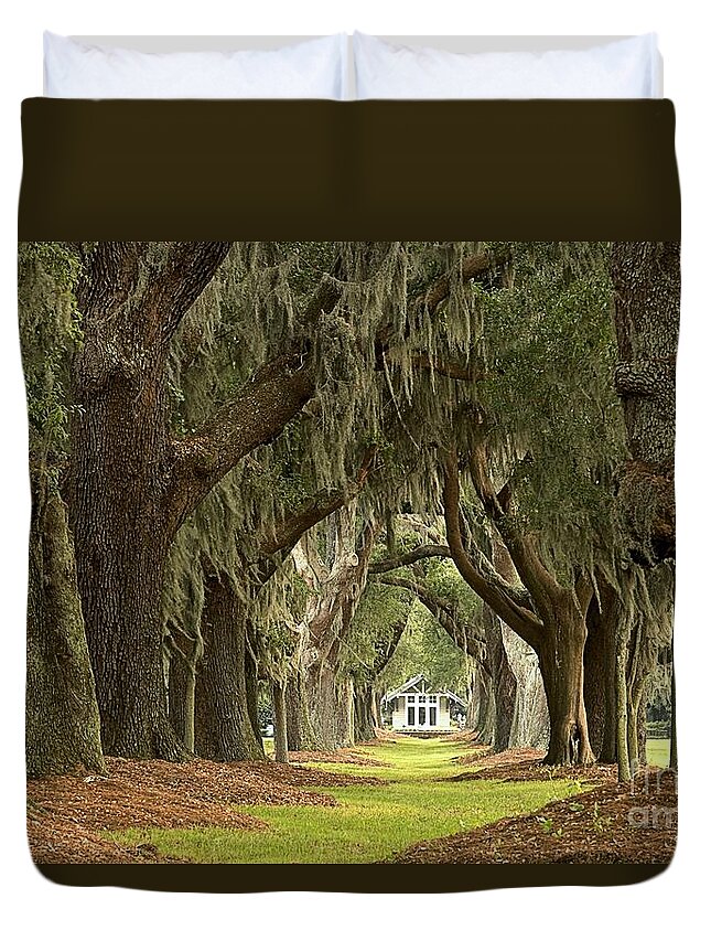 Avenue Of The Oaks Duvet Cover featuring the photograph Oaks Of The Golden Isles by Adam Jewell