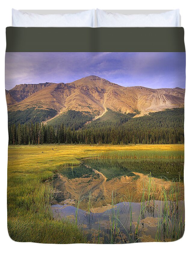 00175885 Duvet Cover featuring the photograph Observation Peak And Coniferous Forest by Tim Fitzharris