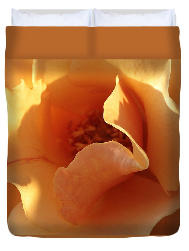 Connie Handscomb Duvet Cover featuring the photograph October's Rose by Connie Handscomb