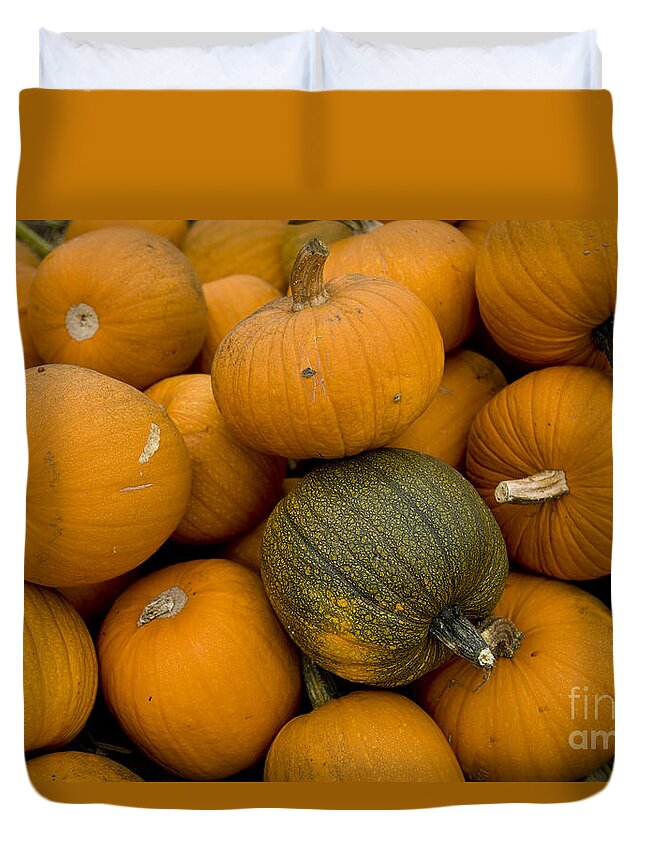 Pumpkins Duvet Cover featuring the photograph Odd one out by David Millenheft