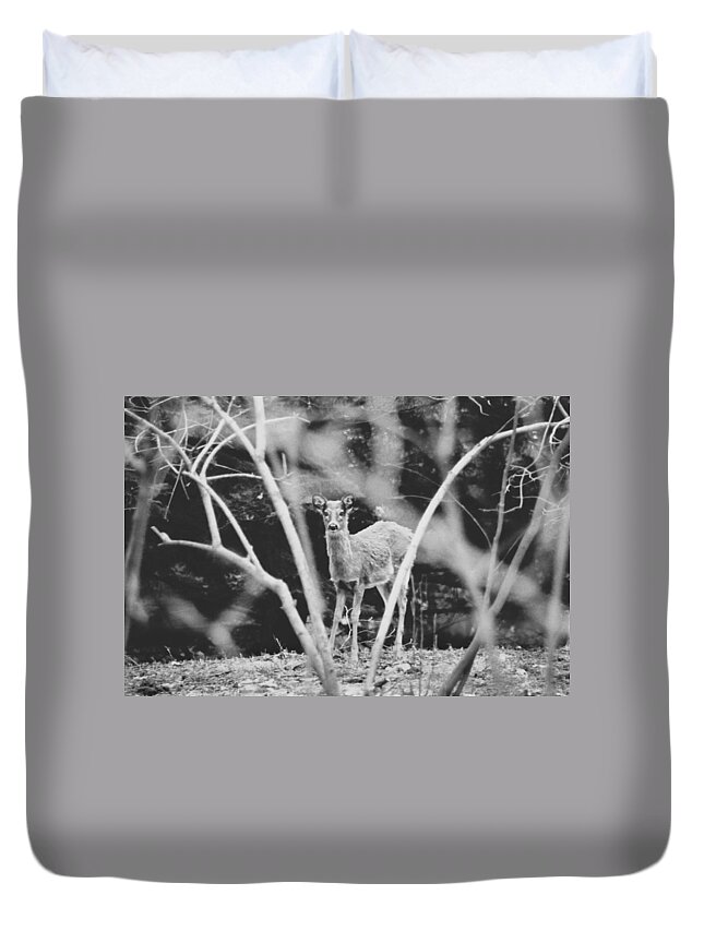 Black And White Duvet Cover featuring the photograph Oh Deer by Carrie Ann Grippo-Pike