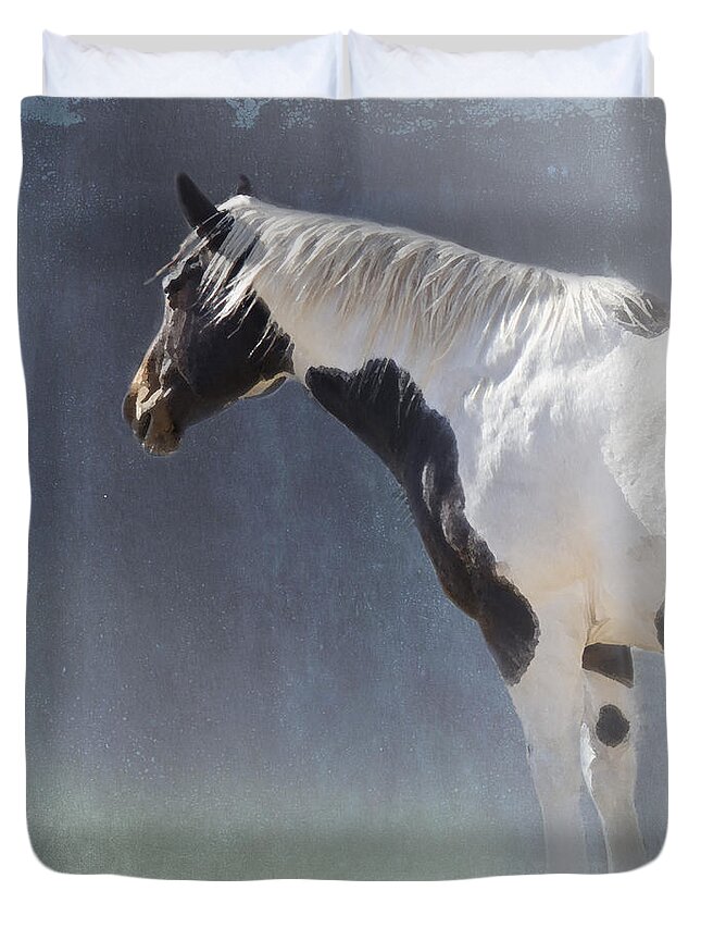 Paint Duvet Cover featuring the photograph Old Paint by Betty LaRue