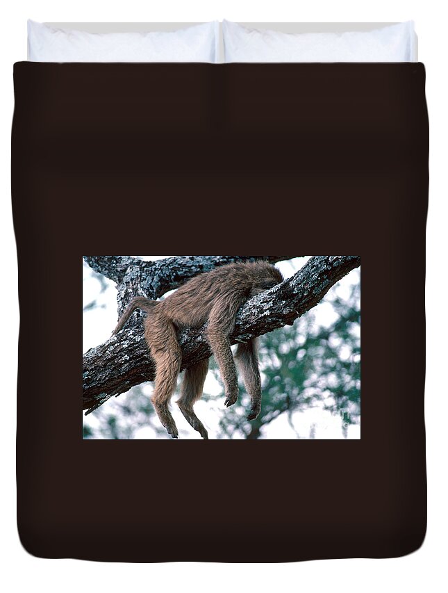 Olive Baboon Duvet Cover featuring the photograph Olive Baboon Resting by Gregory G. Dimijian, M.D.