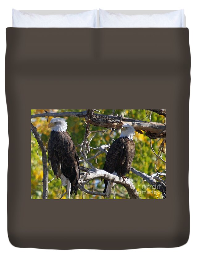 Colorado Duvet Cover featuring the photograph On Alert by Bob Hislop