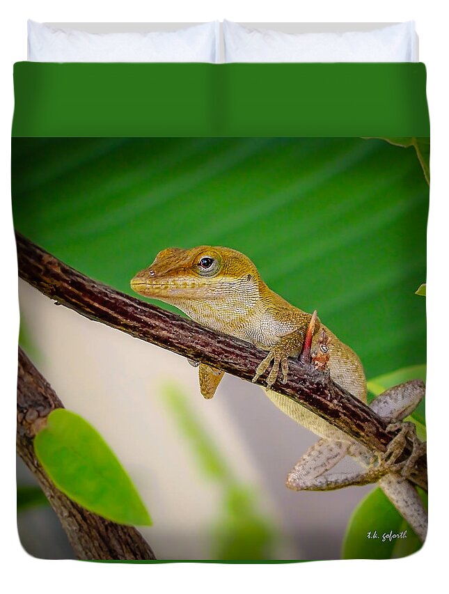 Lizard Duvet Cover featuring the photograph On Guard Squared by TK Goforth
