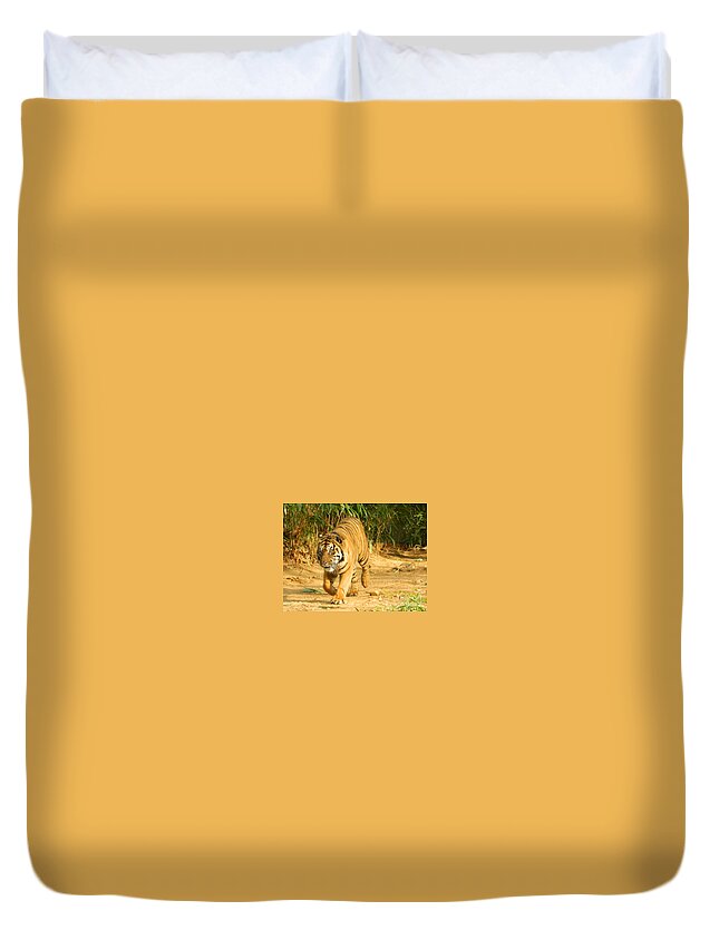 On The Prowl Duvet Cover featuring the photograph On The Prowl by Emmy Vickers