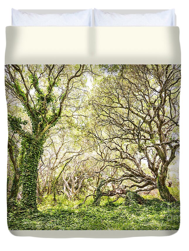 Los Osos Oak State Natural Reserve Duvet Cover featuring the photograph Once Upon A Time by Jamie Pham