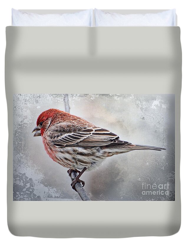 Nature Duvet Cover featuring the photograph Once Upon a Winters day by Debbie Portwood