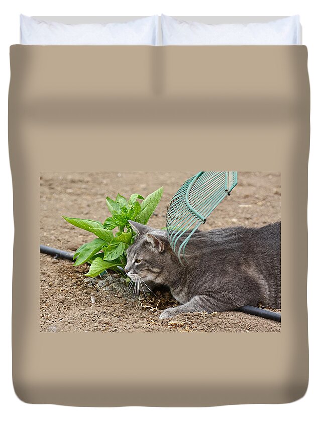 Cat Duvet Cover featuring the photograph One Happy Cat by Diana Hatcher