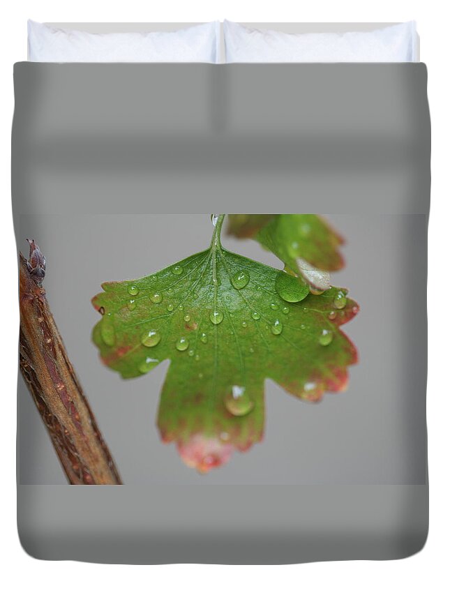 Leaf Duvet Cover featuring the photograph Rain drops on Leaf by Valerie Collins
