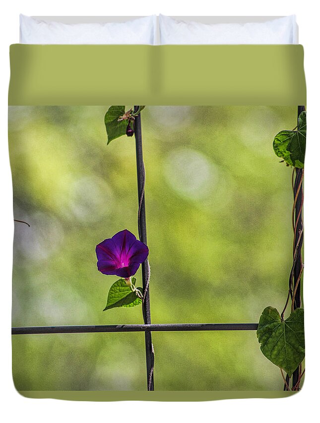 Purple Duvet Cover featuring the photograph One by Tammy Espino