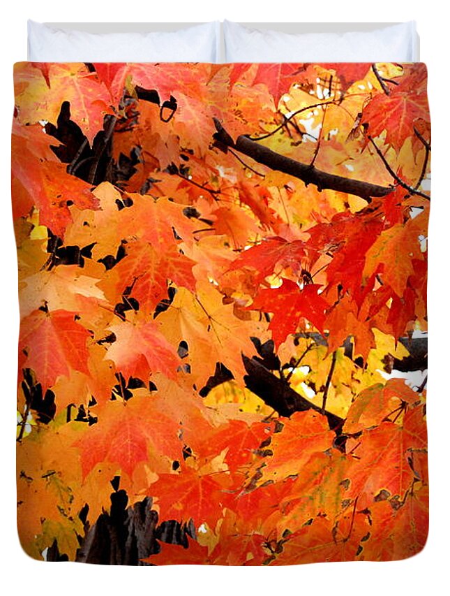 Maple Tree Duvet Cover featuring the photograph Orange And Reds And Some Yellow Too by Eunice Miller